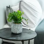Avenuecentral Familyboutique Msliving Tessalónica